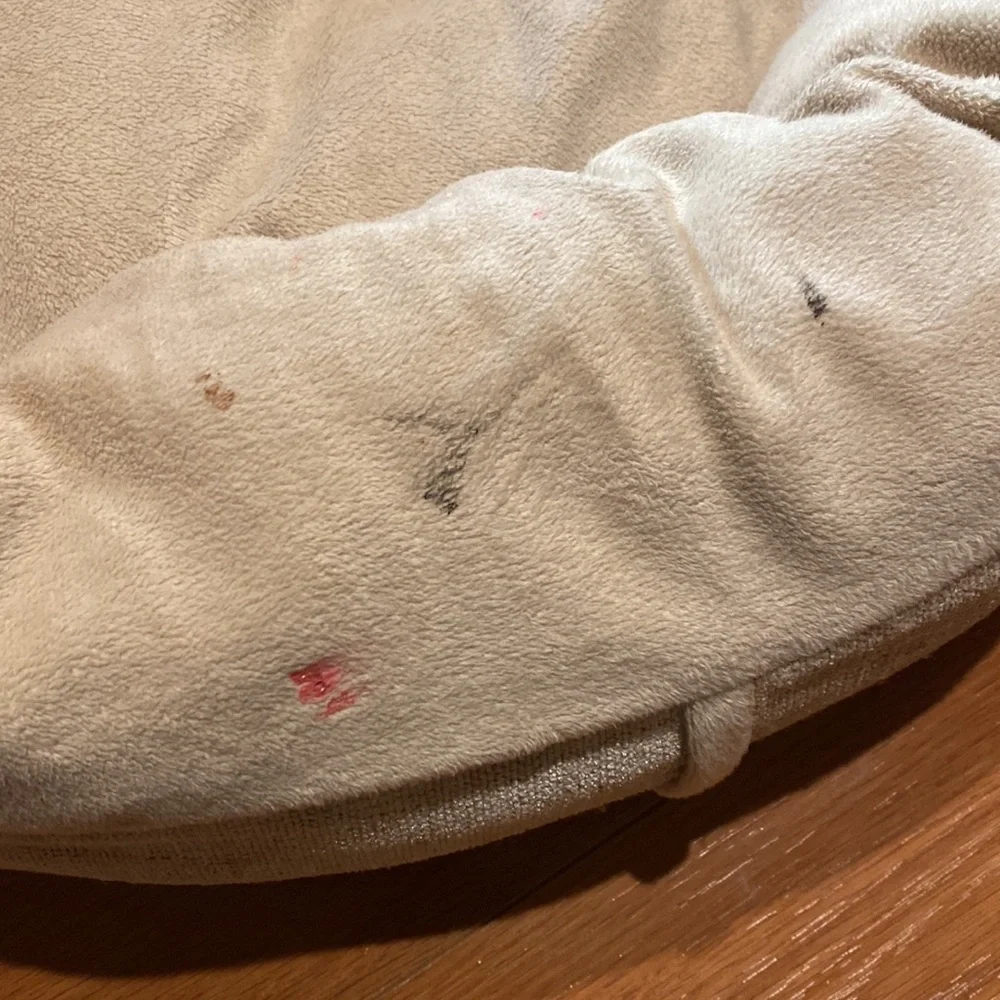 Dog bed that is alittle stained and ripped up but what dog doesn’t do that